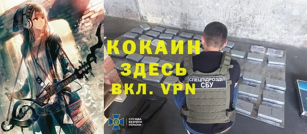соль ск Алексин