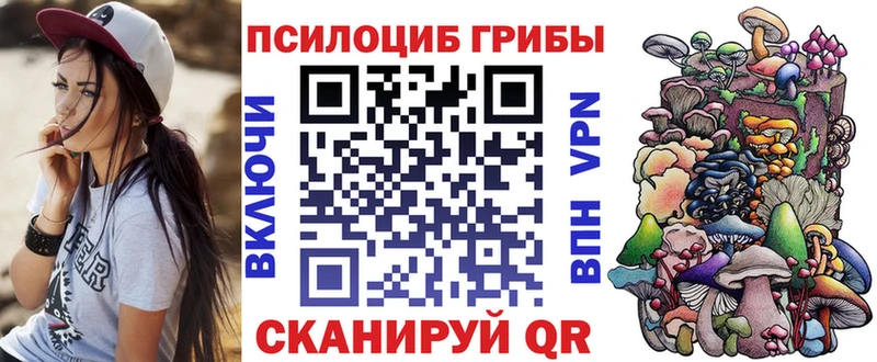 Псилоцибиновые грибы мицелий  Чкаловск 